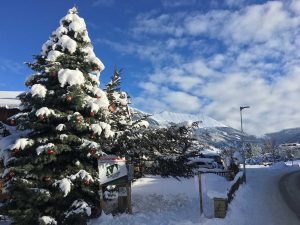 Christbaum regional kaufen