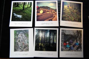 Fotogeschenke und Fotokalender für deine Liebsten selbst gestalten