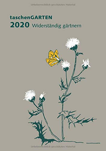 Sinnvolle Geschenke für Erwachsene