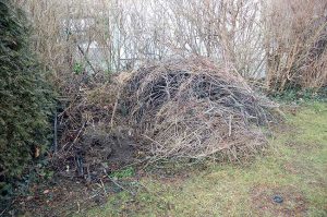 Gartenarbeit im Februar