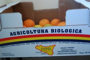 Orangenlimonade selbst herstellen