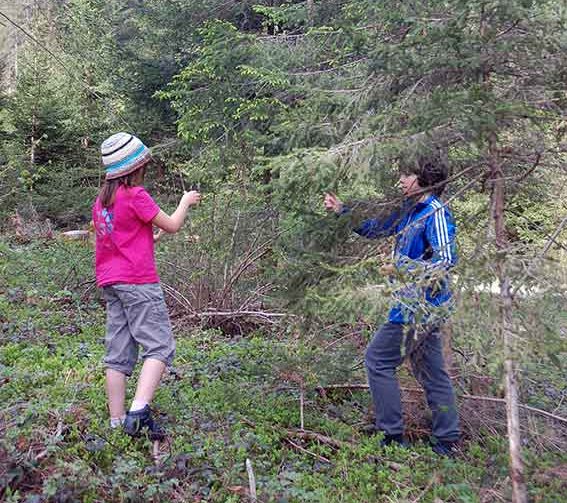 Wildkräuter sammeln im Frühling