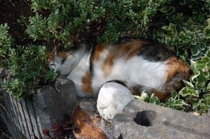 Kindergeburtstag daheim - spannende Spiele spielen