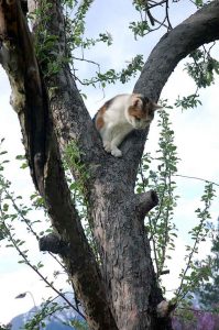 Kindergeburtstag daheim - spannende Spiele spielen