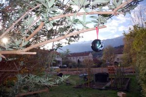 Naturspiele mit allen Sinnen