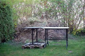 Naturspiele mit allen Sinnen