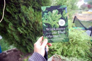 Wildkräuter sammeln im Frühling