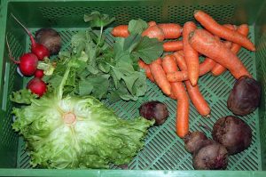 Schöne Momente im April