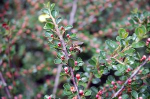 Schöne Momente im April