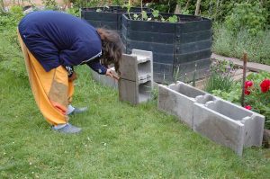 Gartenarbeiten im Mai