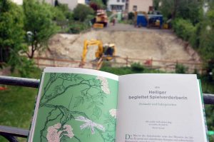 Garten für Insekten und Vögel