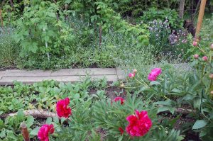 Gartenarbeiten im Mai