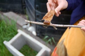 Gartenarbeiten im Mai