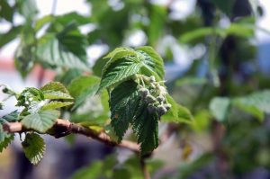 Schöne Momente im April