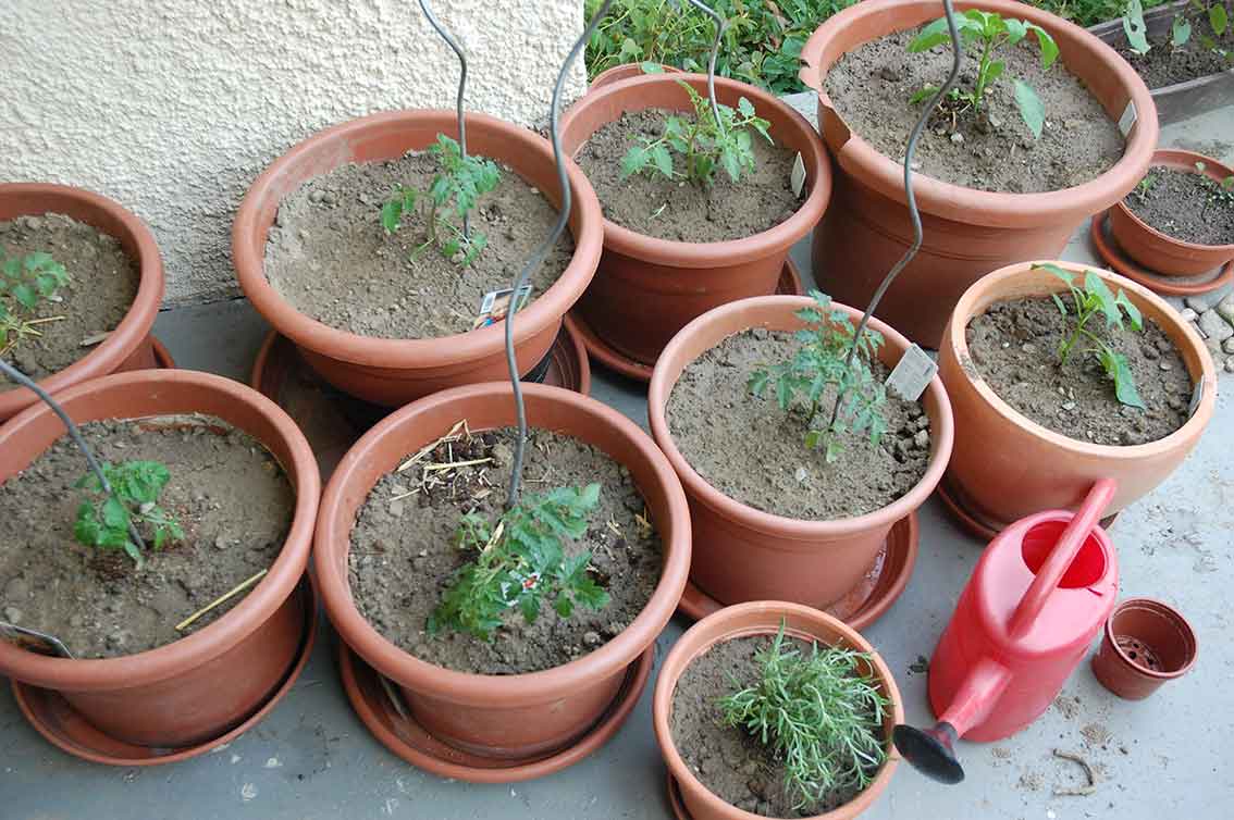 Gartenarbeiten im Mai