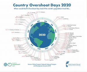 Klimabücher - Sachbücher zur Klimakrise mit konkreten nachhaltigen Praxis-Tipps