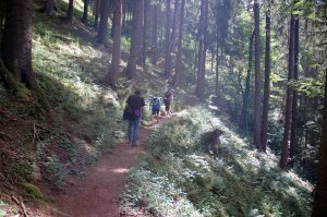 Geocaching Kindergeburtstag im Wald mit Wanderung