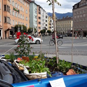 Kostnix Kunstprojekt Innsbruck