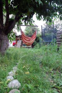 Mein Mitsommer Garten