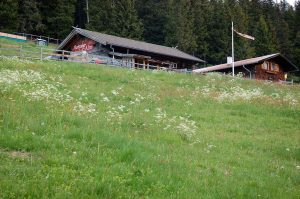 Wanderung zur Patscher Alm