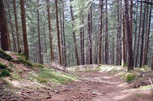 Wanderung zur Patscher Alm