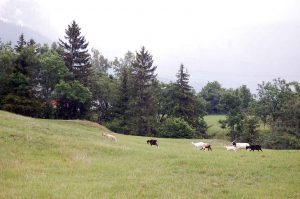 Regenwetter in den Bergen