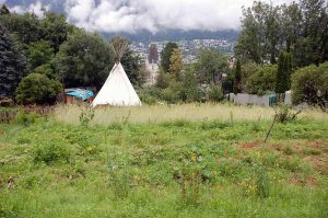Naturspiele mit Holz und Steinen