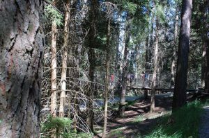 Naturspiele mit Holz und Steinen