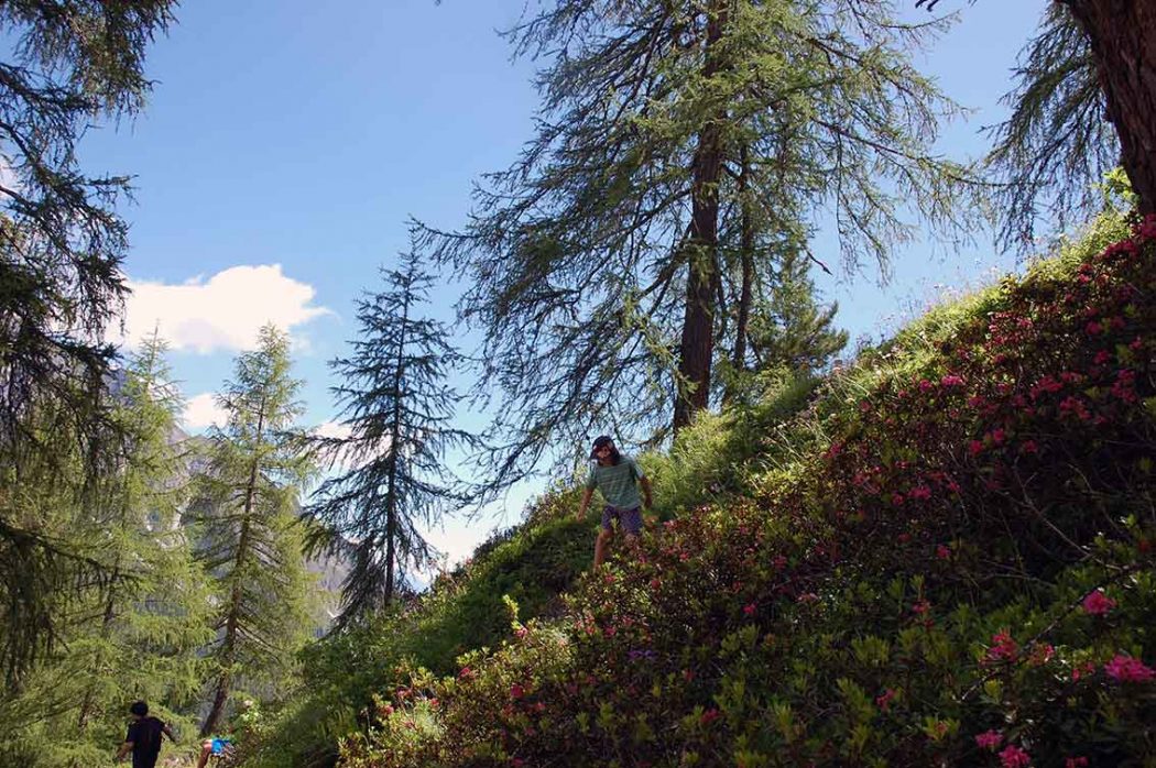 Naturspiele mit Holz und Steinen