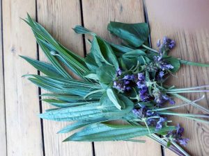 Meine Gartenernte im Juli