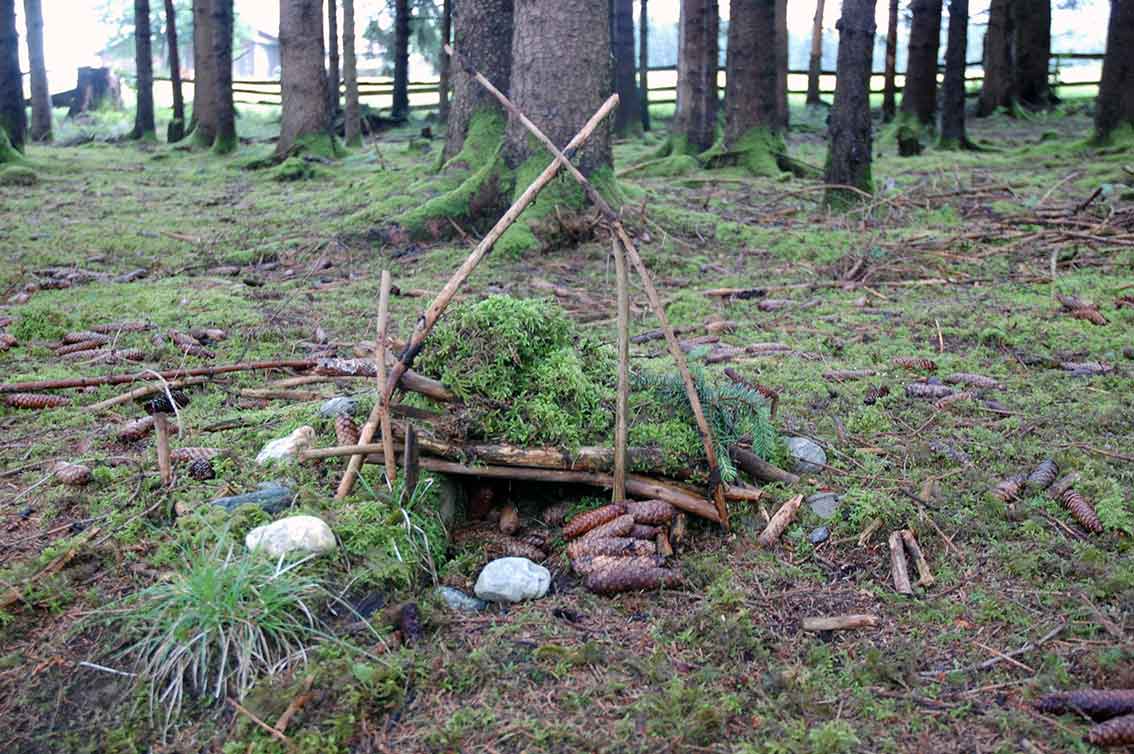 Haus Im Wald Selber Bauen