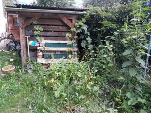 Meine Gartenernte im Juli