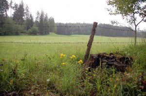 Naturspiele mit Holz und Steinen