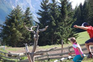 Naturspiele mit Holz und Steinen