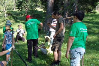 Alpenverein Bergwaldprojekt