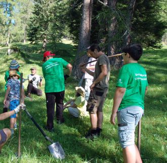 Alpenverein Bergwaldprojekt