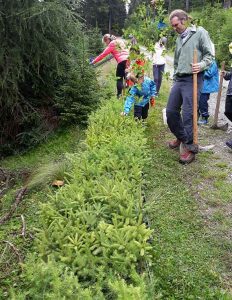 Alpenverein Bergwaldprojekt