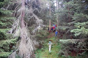 Alpenverein Bergwaldprojekt