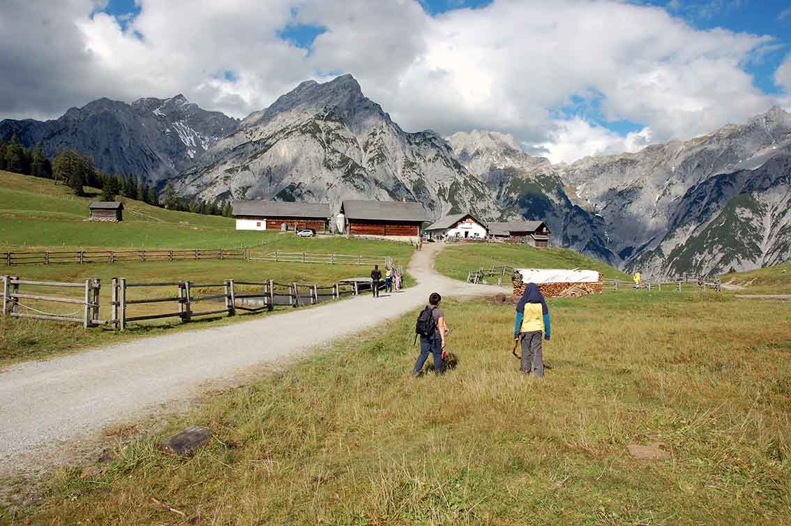 Mit Kindern raus in die Natur - Wanderung zur Walderalm