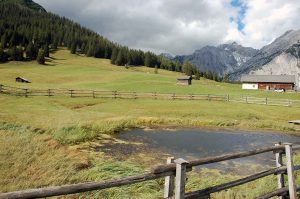 Mit Kindern raus in die Natur - Wanderung zur Walderalm