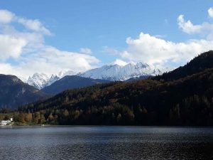 Gesund bleiben: Tipps für ein starkes Immunsystem