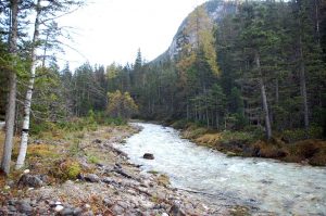 Radtour mit Kindern in Tirol