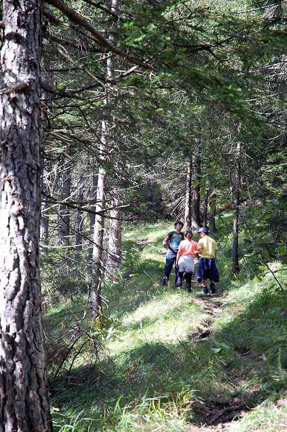 Mit Kindern raus in die Natur - Wanderung zur Walderalm
