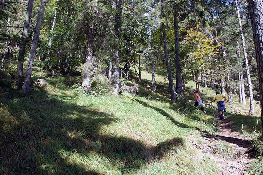 Mit Kindern raus in die Natur - Wanderung zur Walderalm