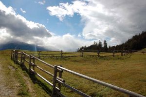 Mit Kindern raus in die Natur - Wanderung zur Walderalm