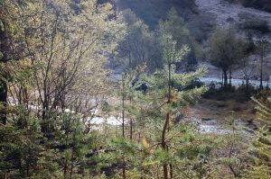 Radtour mit Kindern in Tirol