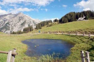 Mit Kindern raus in die Natur - Wanderung zur Walderalm