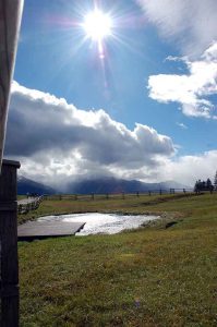 Mit Kindern raus in die Natur - Wanderung zur Walderalm