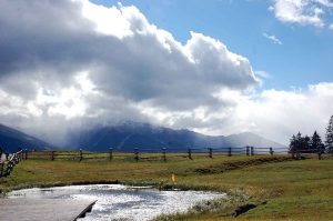 Mit Kindern raus in die Natur - Wanderung zur Walderalm