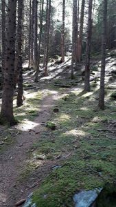 Lockdown als Familie überleben